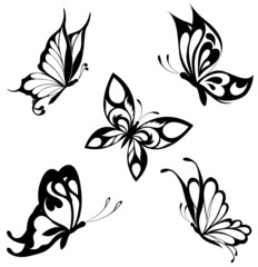 Wall Mural - Set  black white butterflies of a tattoo