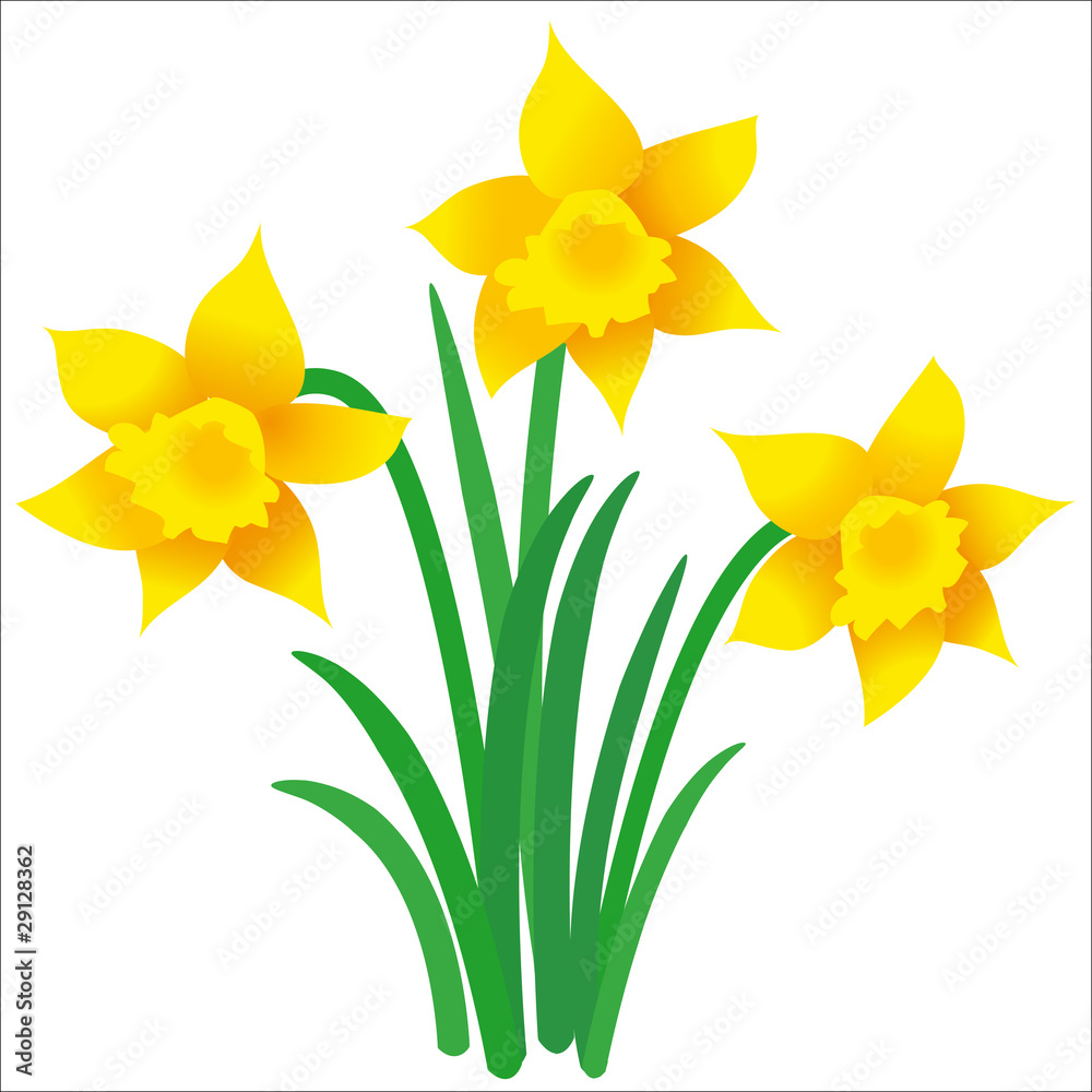 Zu Ostern Bunte Eier , Ostern Clipart, Ostern, Bunte Eier PNG und PSD Datei  zum kostenlosen Download, image size:1000x1000