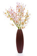 pink orchid in wood vase