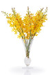 yellow orchid in crystal vase