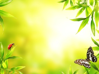 Wall Mural - Green leaves at sunny day