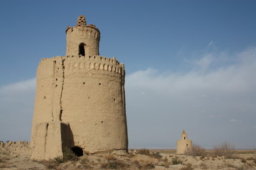 Wall Mural - pigeonnier en iran