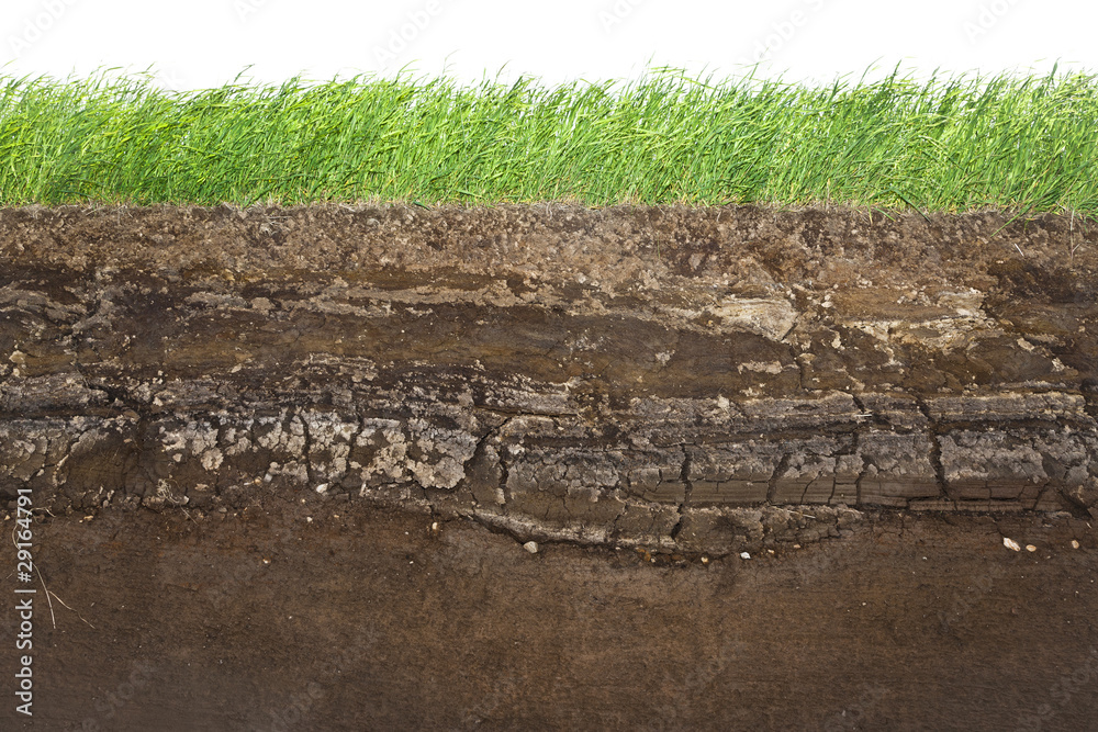 Grass and soil layers isolated on white - obrazy, fototapety, plakaty 