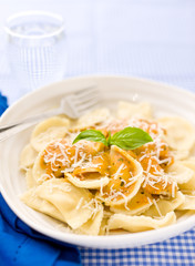 Wall Mural - agnolotti pasta with tomato rosa sauce