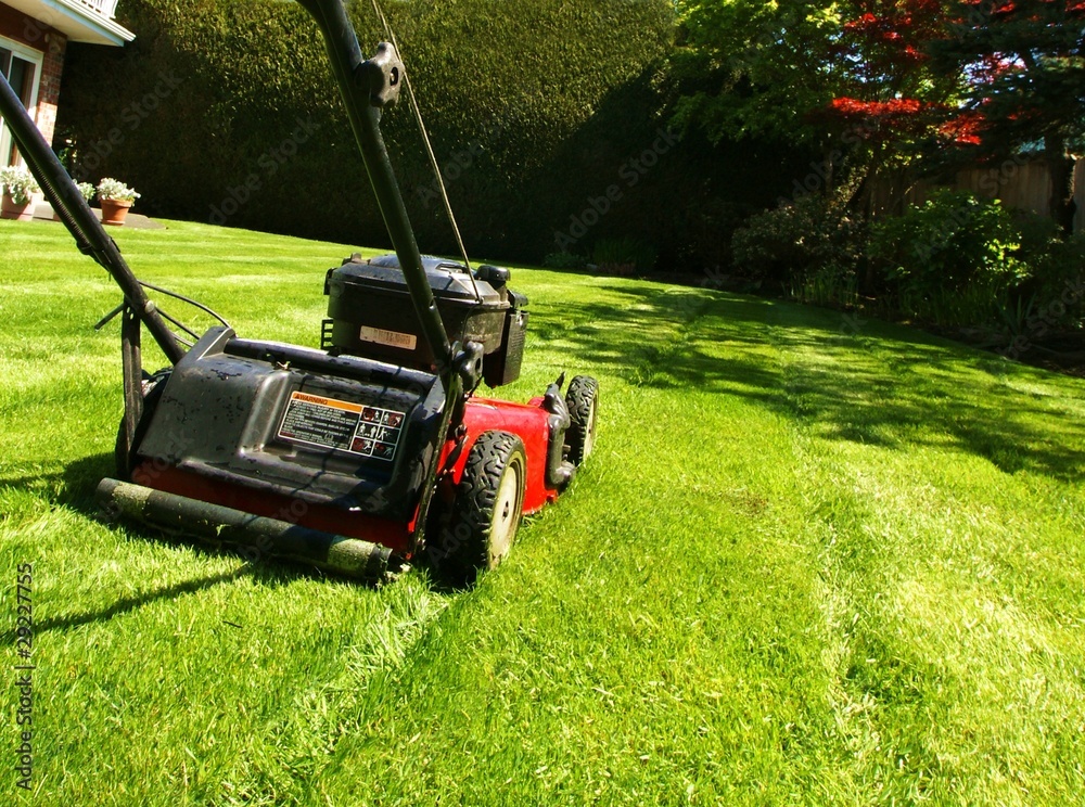 lawn mowing