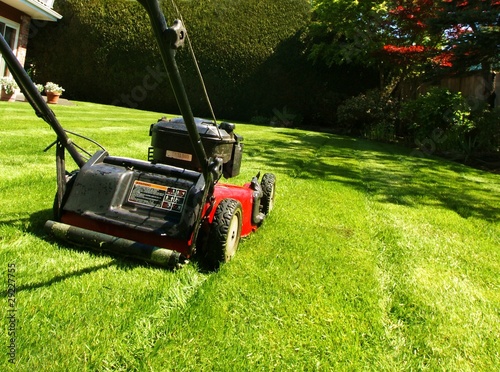 Fotomural  lawn mowing