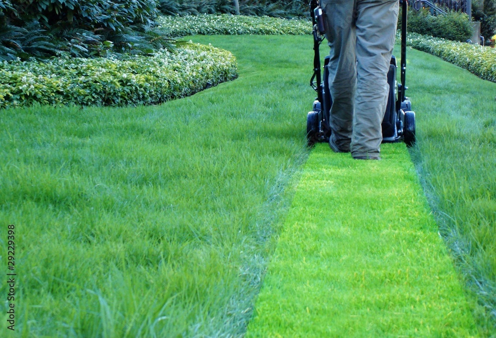 lawn maintenance company