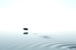 Zen stone thrown on the water