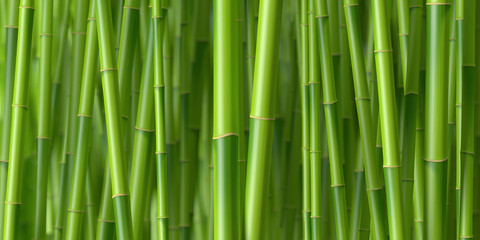  Łodygi bambusa 1