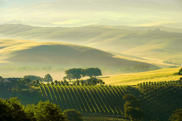 Wall Mural - Toskana Huegel  - Tuscany hills 38