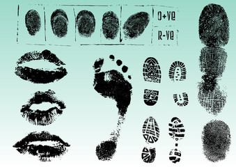 Fingerprints footprints and lips 2