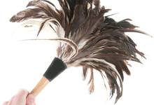 Cleaning With Feather Duster