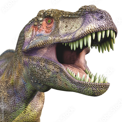 Obraz w ramie tyrannosaurus big head close up