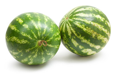 Wall Mural - water melons