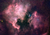 Fototapeta  - North America nebula (NGC 7000)