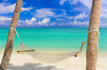 Wall Mural - Hammock on a tropical beach