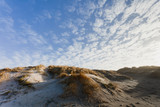 Fototapeta  - Dunes at the Danish North Sea coast