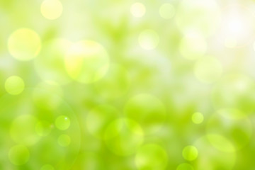 bokeh green background