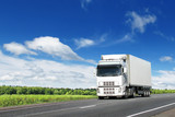 Fototapeta Zwierzęta - white truck on country highway under blue sky
