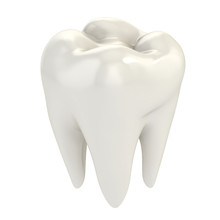 Isolated Tooth 3d Illustration