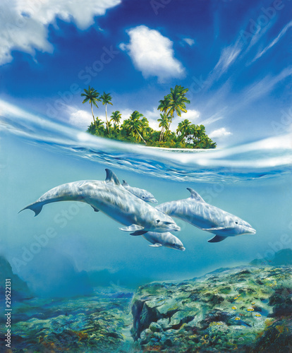 Naklejka dekoracyjna Dolphin Family