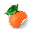 orange sticker with green leaf