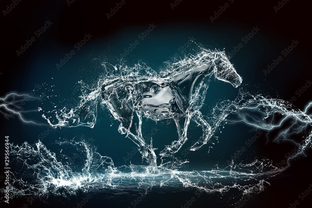 horse water storm - obrazy, fototapety, plakaty 