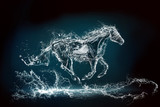 Fototapeta Zwierzęta - water horse 2