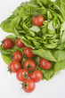 Green lettuse salad and tomato fresh food isolated over white