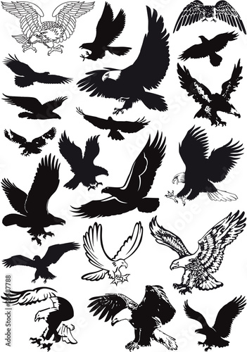 vector eagles collection Stock Vector | Adobe Stock