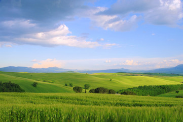 Wall Mural - Toskana Huegel  - Tuscany hills 49