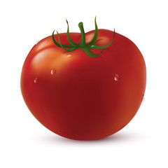 Canvas Print - Big tomato with water drops