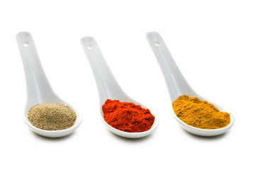 Poster - various spicy powder