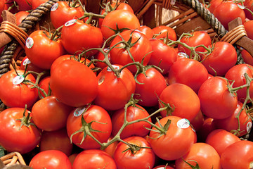 Display of tomatoes