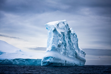 Wall Mural - antarctic iceberg