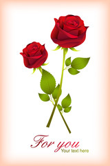 Poster - Love Card with Rose