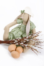 Rabbit, Pussy Willow And Eggs