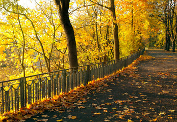 Wall Mural - Autumn park