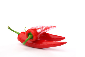 Poster - fresh chili pepper