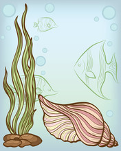 Background With Shell And Fishs