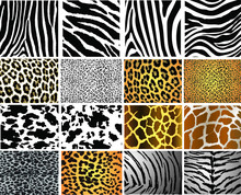 Collection Of 16 Vector Skin Animal Texture