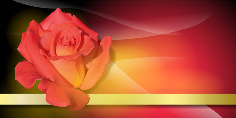 Wall Mural - Vector background for design with a red rose.