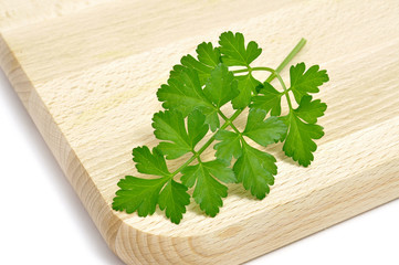 Wall Mural - parsley