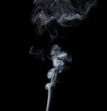 Fototapeta Sawanna - White smoke