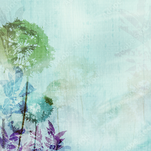 Obraz w ramie grunge background with dandelions