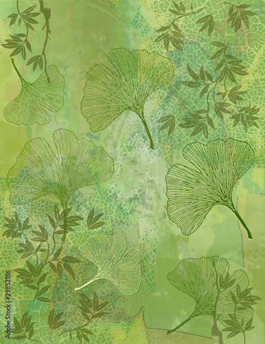 Obraz w ramie Fond Feuillage Bambou et Feuilles Ginkgo en Vert - Illustration