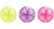 Colorful spectral absract flowers (yellow, purple, pink)