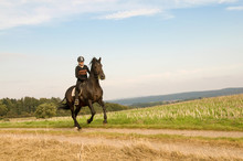 Rider Rides At A Gallop Across The Field.