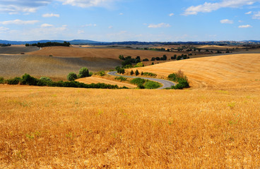 Sticker - Plowed Fields