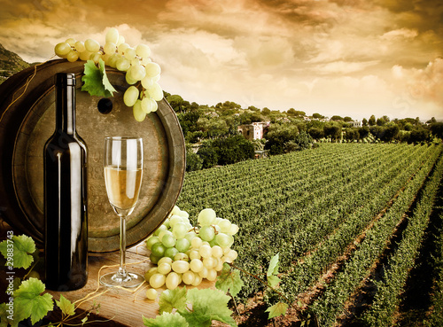 Fototapeta do kuchni Wine and vineyard in vintage style